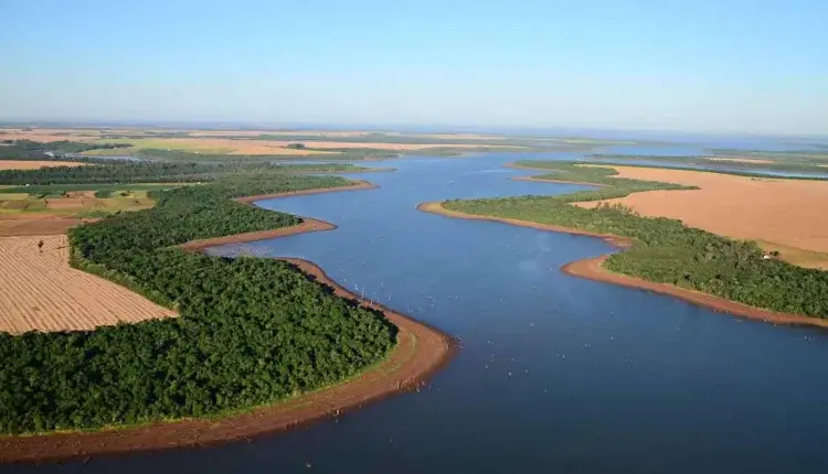 Navegue pela Categoria de MATA CILIAR